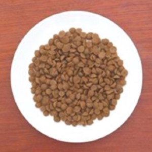 【成犬用フード/オーガニック/鹿肉/有機野菜/低カロリー】一般食　鹿のめぐみ100g×4 犬 ペットフード お取り寄せ 加工食品 