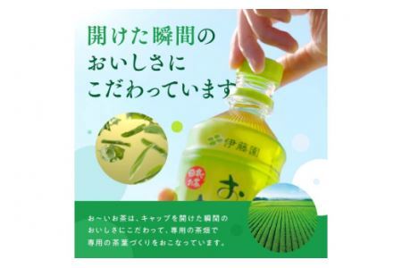 茶 お茶 お～いお茶 緑茶 345ml 24本 [伊藤園 徳島支店 徳島県 北島町 29an0001]