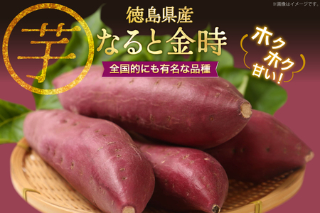 【大人気！】 さつまいも なると金時 5kg [北島町役場 徳島県 北島町 29bb0001]