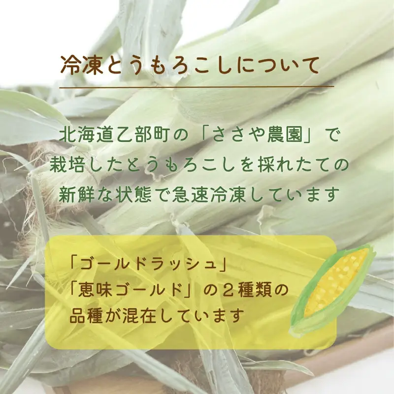 ＜ささや農園産 極★凍結とうもろこし 12本＞北海道 道産 国産 乙部町 とうもろこし とうきび 冷凍 急速冷凍 鮮度そのまま 甘さ 糖度 個包装 ゴールドラッシュ 恵味ゴールド
