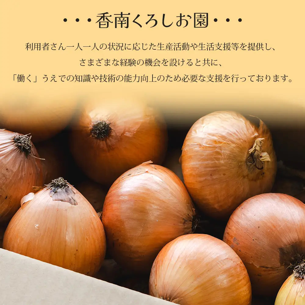 玉ねぎ 5kg 先行予約 【玉ねぎ 玉葱 タマネギ 玉ねぎ 高知県 たまねぎ 玉ねぎ 玉ねぎ 玉ねぎ 玉ねぎ 玉ねぎ】 ke-0036