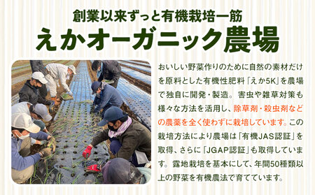 えか野菜 おまかせ5～7種セット 有機JAS認定 株式会社えか自然農場 | 野菜セット
