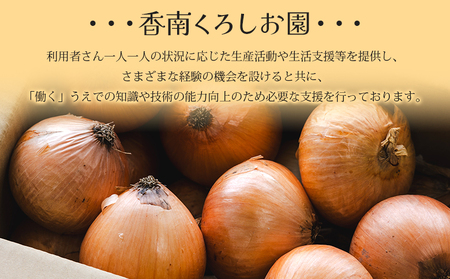 玉ねぎ 15kg 家庭用 野菜 高知 大小混合 - 香南市産 国産 たまねぎ タマネギ 玉葱 野菜 オニオンスープ ハンバーグ 常備野菜 保存野菜 香南くろしお園 高知県 香南市 ke-0039