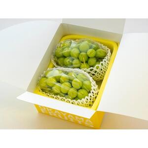 2026年 ご家庭用 岡山県産 シャインマスカット 1.2kg（2～3房）（クール便）｜  シャインマスカット