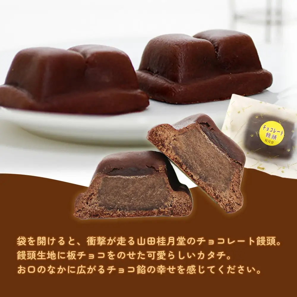 ＜山田桂月堂＞チョコレート饅頭　10個入り　40P5614
