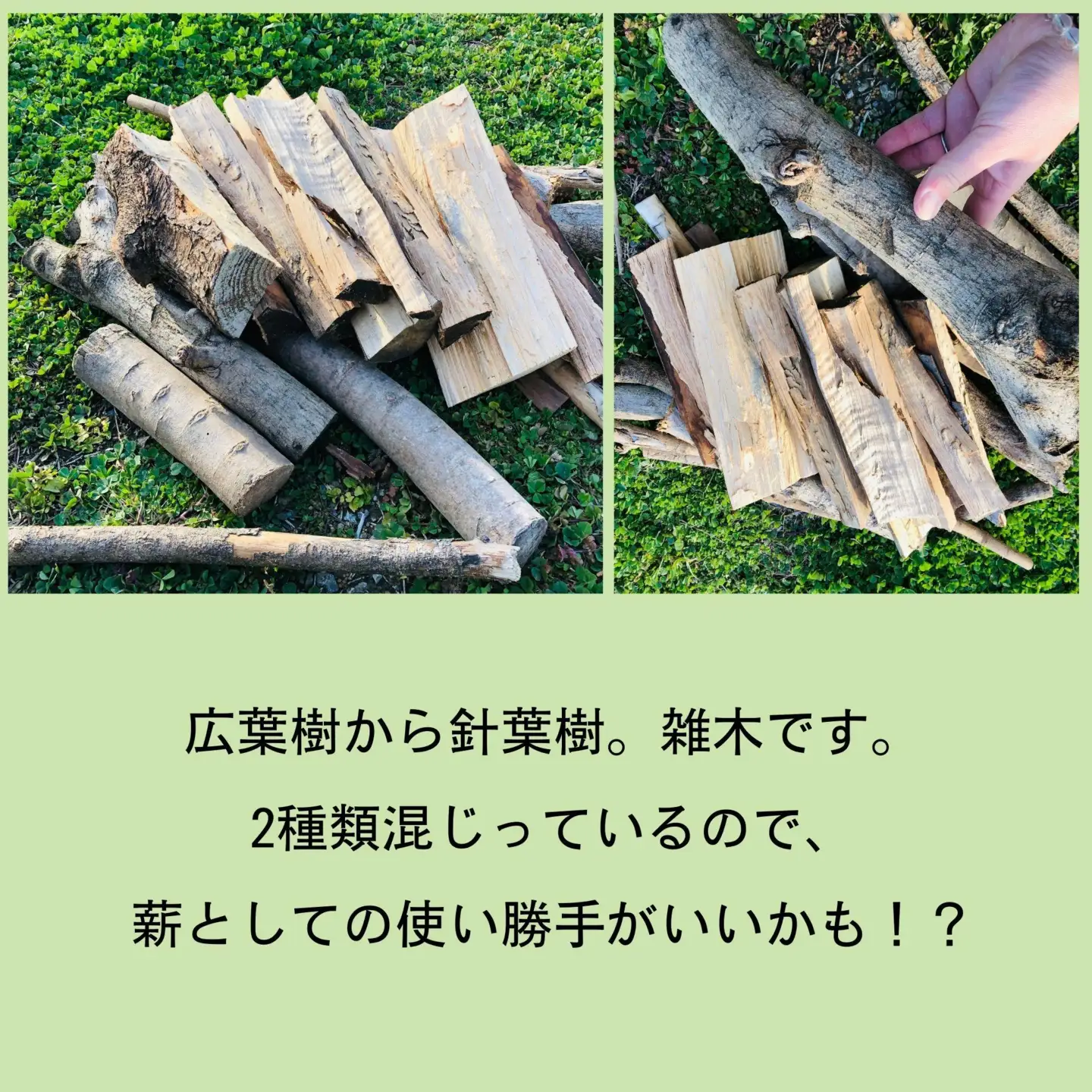 薪 キャンプ用 有田 雑木の 薪10kg(中太のみ)