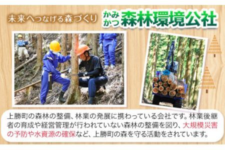 天然木パズル 約400g W270×H225×D13 一般社団法人かみかつ森林環境公社《30日以内に出荷予定(土日祝除く)》 おもちゃ パズル 知育玩具 インテリア 木製 徳島県産 杉 プレゼント ギフト 誕生日 出産祝い 徳島県 上勝町 送料無料