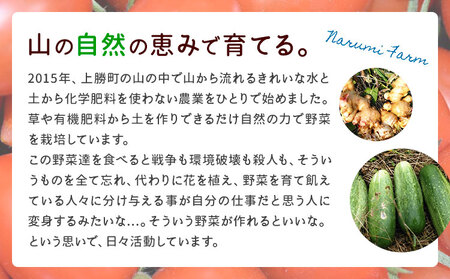 上勝レッド ピューレ プレイン 1瓶 200ml NARUMIFARM 《30日以内に出荷予定(土日祝除く)》ピューレ トマトピューレ とまと トマト 野菜 やさい オーガニック お肉 お魚 パスタ パスタソース ペンネ ピザ 徳島県 上勝町 送料無料