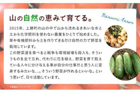 上勝レッド ピューレ アラビアータ 1瓶 200ml NARUMIFARM 《30日以内に出荷予定(土日祝除く)》ピューレ トマトピューレ とまと トマト 野菜 やさい オーガニック お肉 お魚 パスタ パスタソース ペンネ ピザ 徳島県 上勝町 送料無料