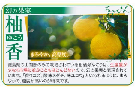 しあわせアイス 5種 セット 計6個 彩食品グループ 《30日以内に出荷予定(土日祝除く)》アイス アイスクリーム ご当地 スイーツ ご当地 アイス 特産品 柑橘 柚香 晩茶 お取り寄せ カップ ジェラート 徳島県 上勝町 送料無料