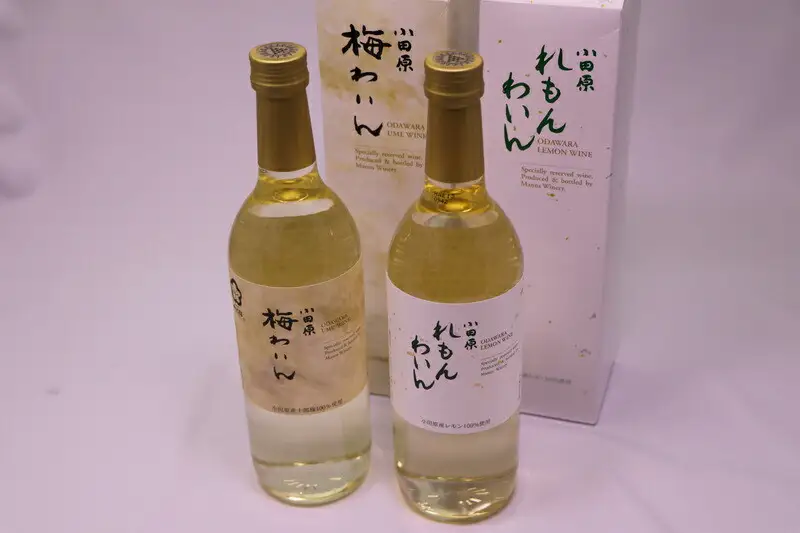城下町小田原の飲み比べわいんＡセット(2本セット)【ワイン】