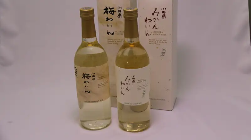 城下町小田原の飲み比べわいんBセット（2本セット)【ワイン】