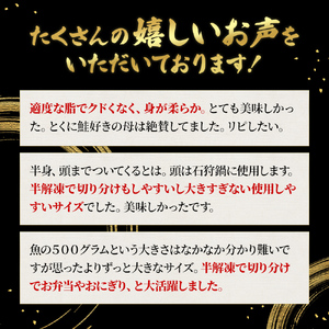 北海道産 時鮭 半身 500g～550g 鮭 さけ シャケ 魚 甘塩 冷凍 半身加工 旬 