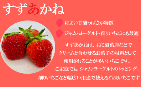 ＜山科農園の冷凍すずあかね　1kg＞甘酸っぱさが魅力の冷凍いちご