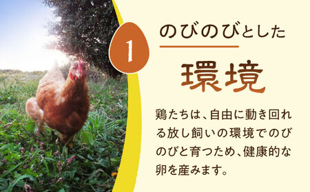 放し飼い 自然卵 「歩荷」 箱60個入 / 卵 たまご 鶏卵 玉子 平飼い / 稲沢市 / 平飼い自然卵歩荷 [BMBM003]