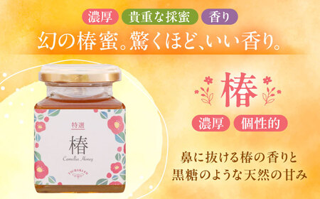 【ギフト箱入り】椿はちみつ（200g×3本） / はちみつ 国産 非加熱 純粋 蜂蜜 天然 ハチミツ / 稲沢市 / 椿園株式会社 [BMBI003]