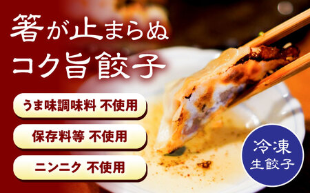 元祖 「尾張名物とり餃子」 60個 / 餃子 ニンニク不使用 冷凍 ギョーザ 生餃子 おつまみ / 稲沢市 / 平飼い自然卵歩荷 [BMBM005]