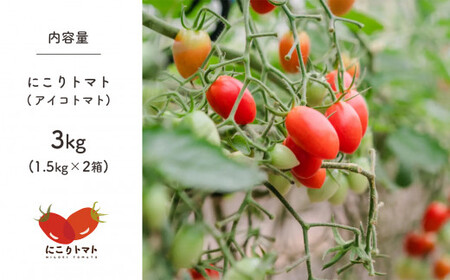 にこりトマト 3kg ｜ やさい 野菜 トマト ミニトマト アイコ 熊本県 玉名市