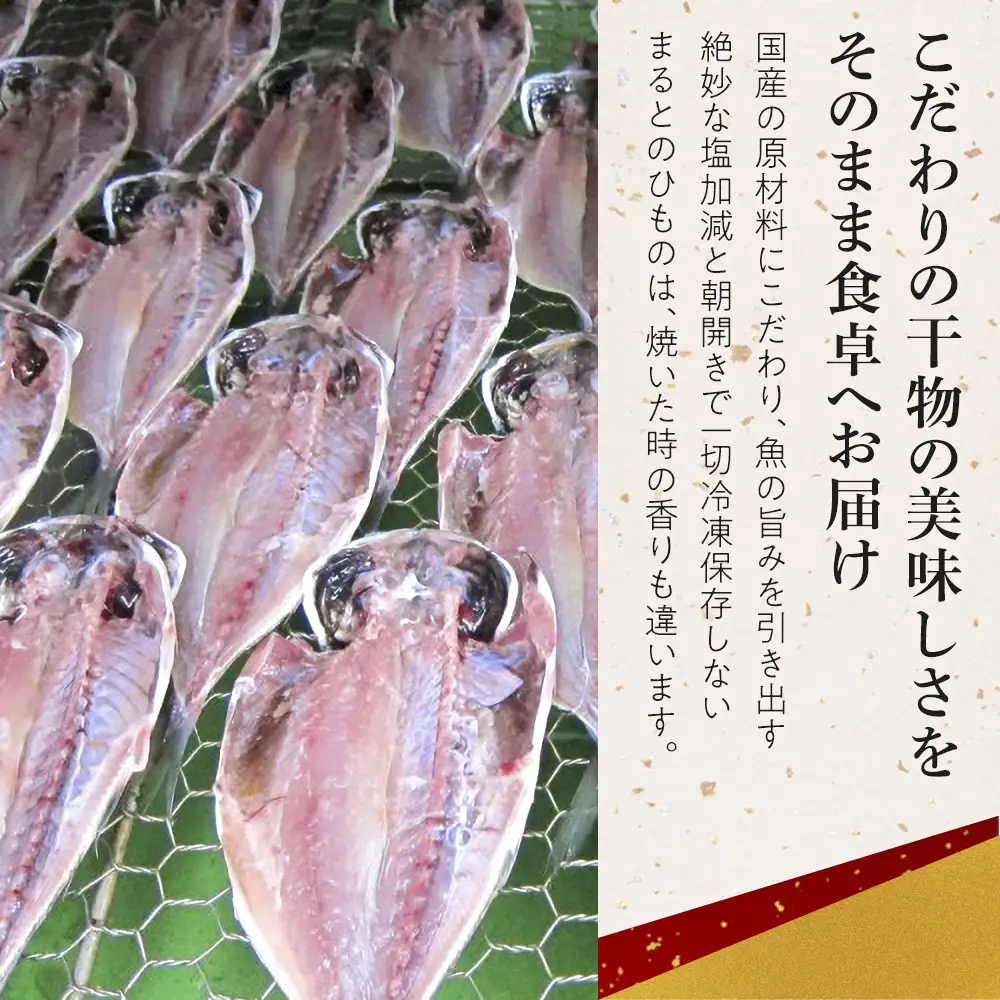 小田原ひもの詰合せ s45【惣菜 魚 干物 ひもの お取り寄せ 御中元 お中元 お歳暮 父の日 母の日 贈り物 家庭用 自宅用 贈答品 贈答用 ギフト 定番 朝食 朝ごはん 国産 中あじ、中かます、中金目鯛  神奈川県 小田原市 ひもの 】