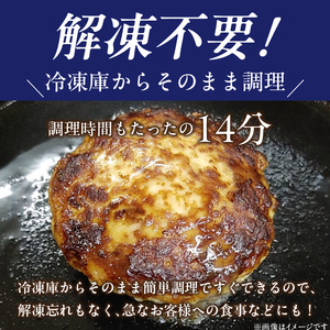 地鶏ハンバーグ_地鶏ハンバーグ 〔Ax404〕