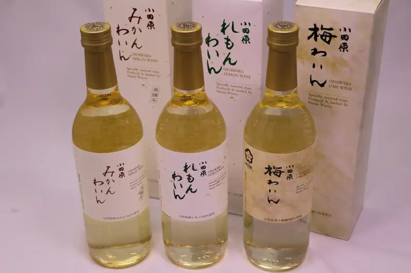 城下町小田原の飲み比べわいんCセット(3本セット)【ワイン】