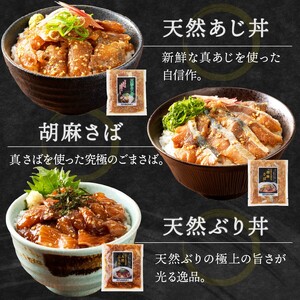 松浦アジフライと海鮮醤油漬けセット( 魚 鯵 人気 )【B0-245】