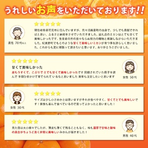  あま～い！ カツオの有機肥料が味の決め手！ 「きみの完熟ミカン」 約2kg (15~25個程度) サイズ混合 2S~L ご家庭用(秀優混合) 紀美野町産 /みかん ミカン 柑橘 和歌山県 有機 手選別 【kmf004-c-2】