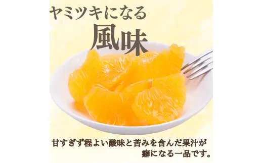  新鮮！はじける食感！「きみのハッサク」3kg  サイズ L~2L ご家庭用(秀優混合)/八朔 柑橘 和歌山県 手選別 【kmf011】