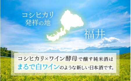 【日本酒】PURE RICE WINE 720ml×2本（純米ワイン）【新感覚！ワインのような日本酒】【ワイン 飲料 甘酸っぱい お酒 純米酒 こしひかり 白ワインタイプ ピュアライスワイン】[A-008009]