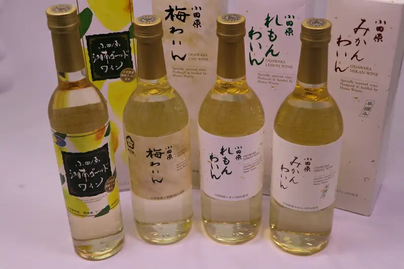 城下町小田原の飲み比べわいんDセット（4本セット)【ワイン】