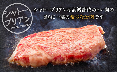 牛肉 宮崎牛 シャトーブリアン・ヒレ ステーキ 600g 牛肉