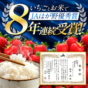 【2027年 先行予約】朝採れいちご とちあいか 350g ソフトパック
