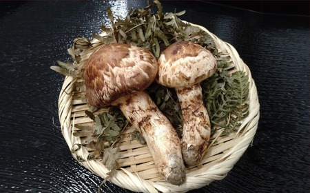 松茸ごはんの素 2合(2～3人用) 松茸100g入 【民宿 沼田屋】 冷凍 炊き込みご飯