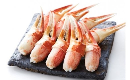 カニ 本ズワイガニ二本爪 300g 【お手軽】 料理 寿司 冷凍 ｽﾞﾜｲｶﾞﾆｽﾞﾜｲｶﾞﾆ