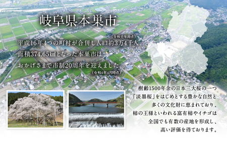 《返礼品なし》 ～ 岐阜県本巣市への寄附 応援寄附金 淡墨桜 (返礼品はありません) [0960]  mt309