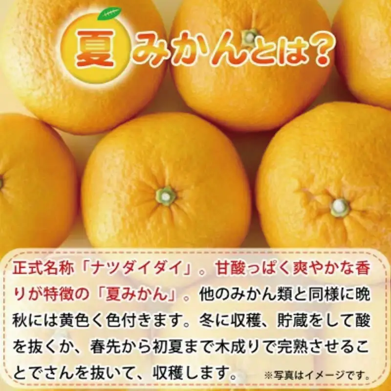 夏みかん 7.2kg　※2027年4月中旬頃～2027年4月下旬頃に順次発送予定（お届け日指定不可）【uot775】