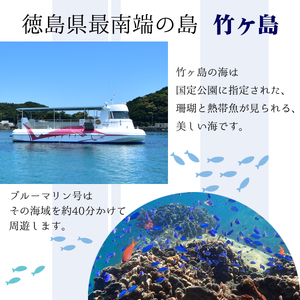海中観光船 ブルーマリン号 乗船券 大人 2名様 グラスボート レジャー マリンジャム 竹ヶ島 竹ケ島 四国 徳島 徳島県 海陽 海陽町