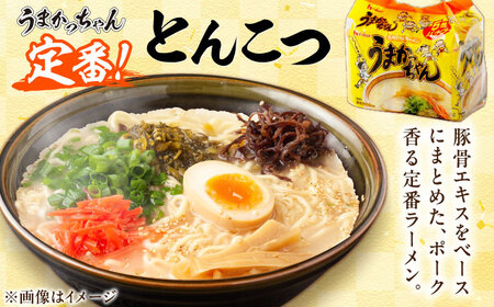 うまかっちゃん3種セット 豚骨・高菜・濃厚新味 合計30食(各5袋×2パック) / 豚骨ラーメン うまかっちゃん[AFAR031]