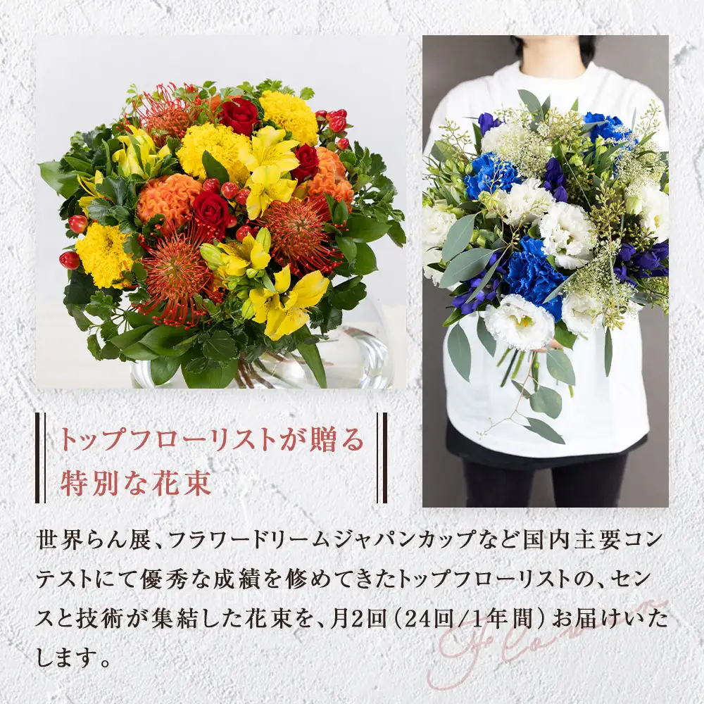 「毎月２回」届く、旬の花束（24回／1年間） 世界らん展 フラワードリームジャパンカップ 国内主要コンテスト受賞 ｜ 花束