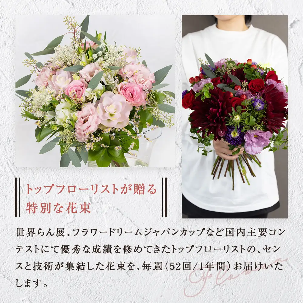 「毎週」届く、旬の花束（52回／1年間）世界らん展 フラワードリームジャパンカップ 国内主要コンテスト受賞 ｜ 花束