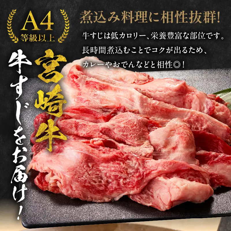 牛肉 牛すじ 牛肉[宮崎牛 1kg]