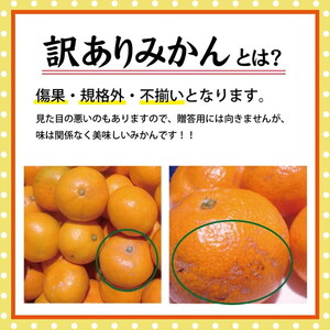 【訳あり】有田みかん 7.5kg | 農家直送 訳あり ご家庭用 サイズ混合 光センサー選別 温州みかん みかん 訳あり わけあり 家庭用