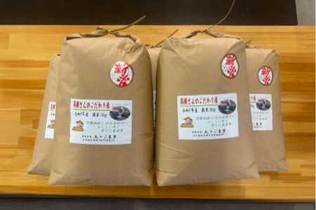 【数量限定】 新米！高橋さんのこだわり米（精米）10kg R7年産新米 精米 米 お米 おこめ コメ 白米 令和7年 令和7産 新米 国産 ＜2025年9月中旬～配送開始＞ R5
