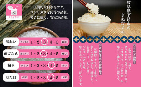 【2025年産】きぬむすめ 5kg（5kg×1袋）【かみはら山水農園】【28-12】