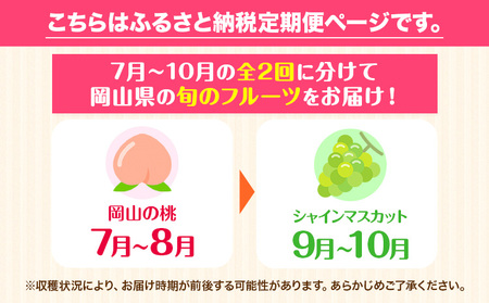 人気くだもの定期便《7月上旬-10月末頃出荷》フルーツ定期便
