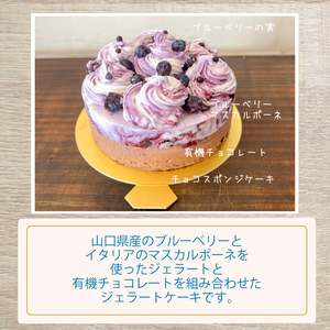 ジェラートケーキ 12cm ケーキ KE