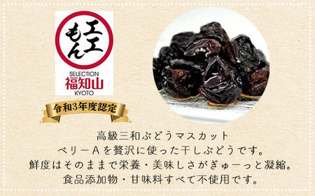 京都三和・丹波ぶどうほしぶどう マスカットベリーA ドライ(100g×3パック) ふるさと納税 福知山市 ドライフルーツ ほしぶどう 干しブドウ レーズン ドライレーズン 三和ぶどう マスカットベリーA 100g 3パック 手作り 三和町 特産 丹波 【fc-CO002】【株式会社横田石材(丹波ほっこり農園)】