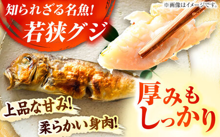 若狭グジの一塩仕立て 500g×2尾 小浜市 / まるほ商店 【配送不可地域：北海道・沖縄・離島】  [BFCS002] 