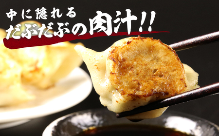 だぶだぶの肉汁をすすりたくなる餃子 20個（10個入×2パック） BE012
