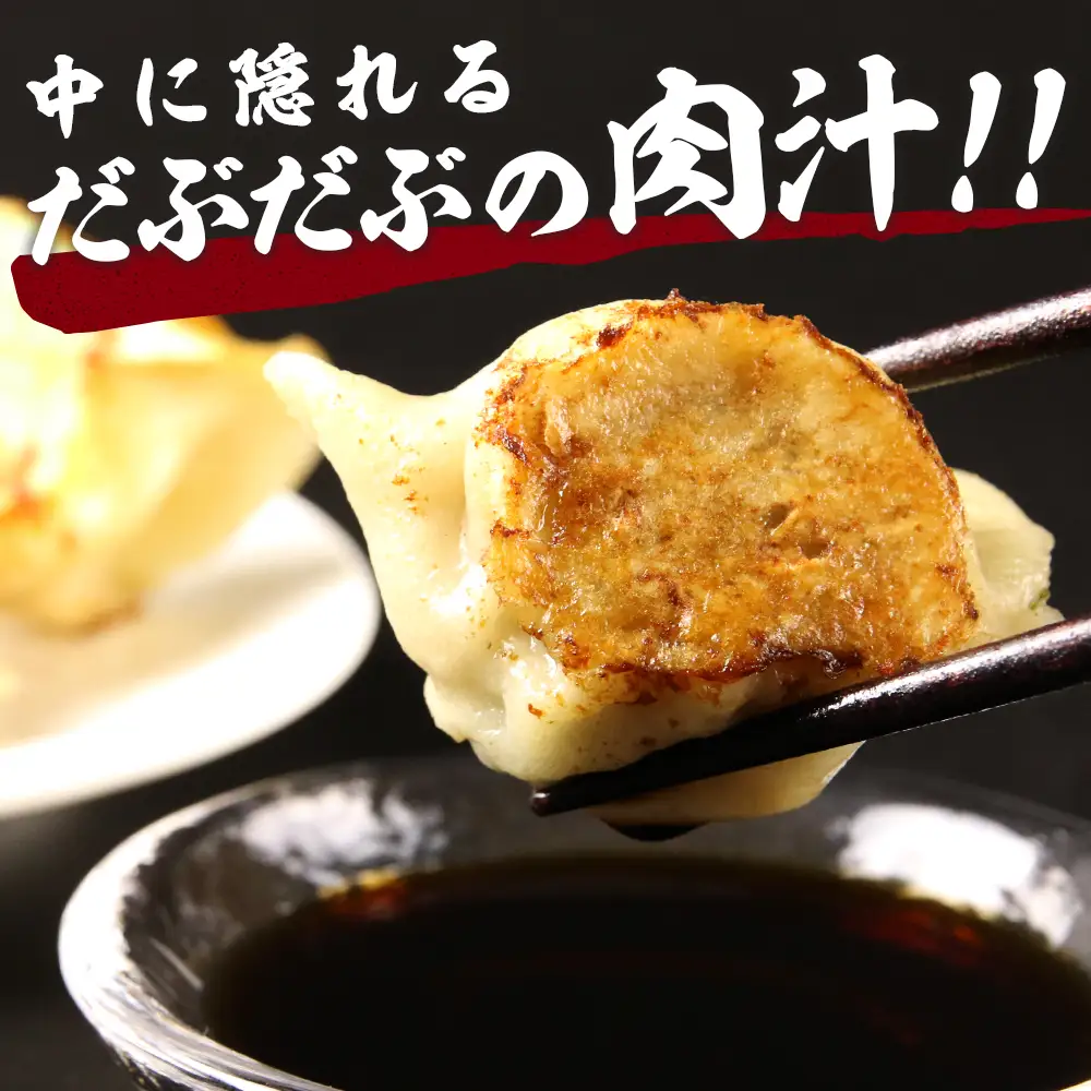 だぶだぶの肉汁をすすりたくなる餃子 40個（10個入×4パック） BE014